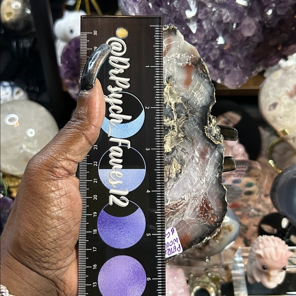 Petrified Wood & Calcite Specimen - Picture 7 of 9